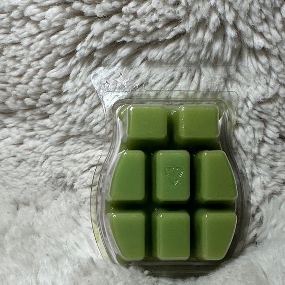 Scentsy Prickly Pear & Agave Scent Bar - Vibrant Pink - Picture 2 of 2